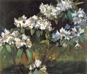 William Stott of Oldham White Rhododendrons France oil painting artist